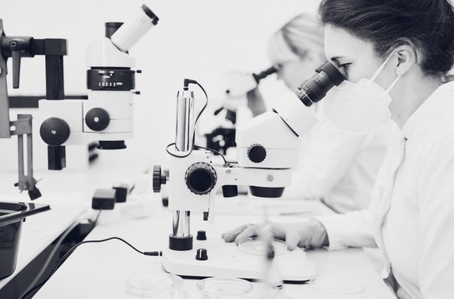 502Portfolio_gemein_72dpi