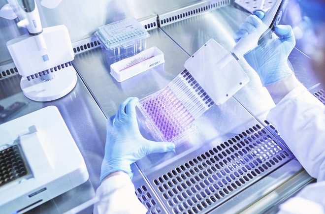 508Portfolio_gemein_72dpi